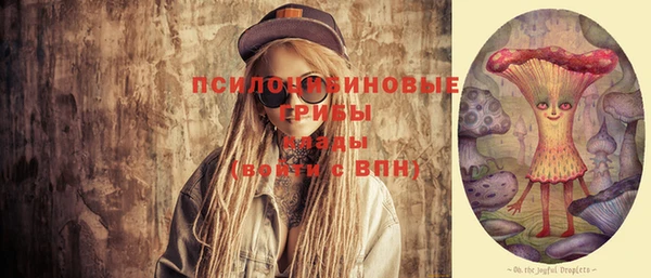 ALPHA PVP Остров