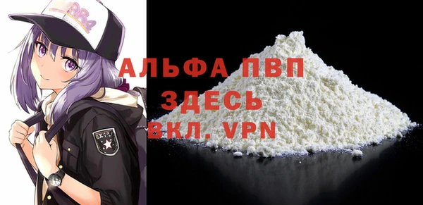 гашик Пересвет