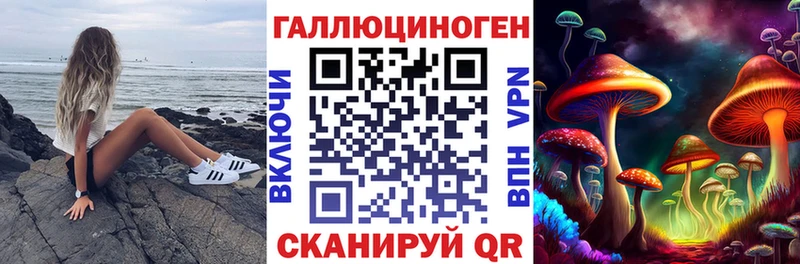 Псилоцибиновые грибы Cubensis  Алагир 